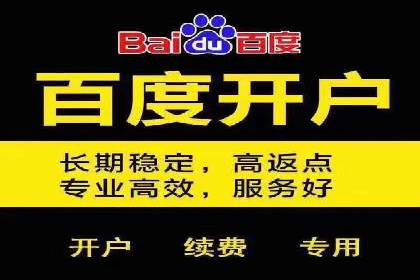 竞价开户推广案例营销策略